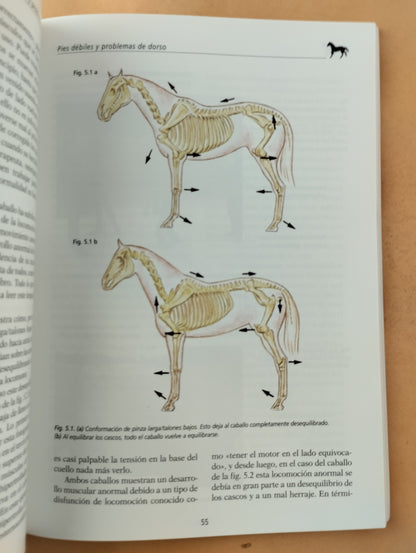 Sin pie no hay caballo