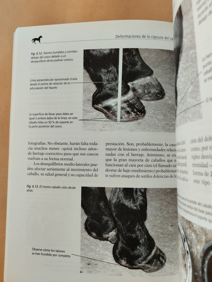 Sin pie no hay caballo