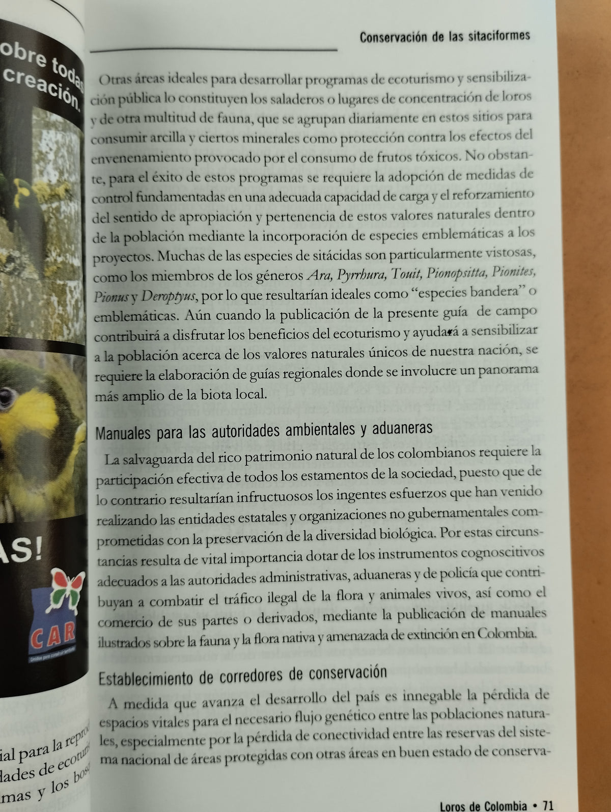 Loros de colombia by varios
