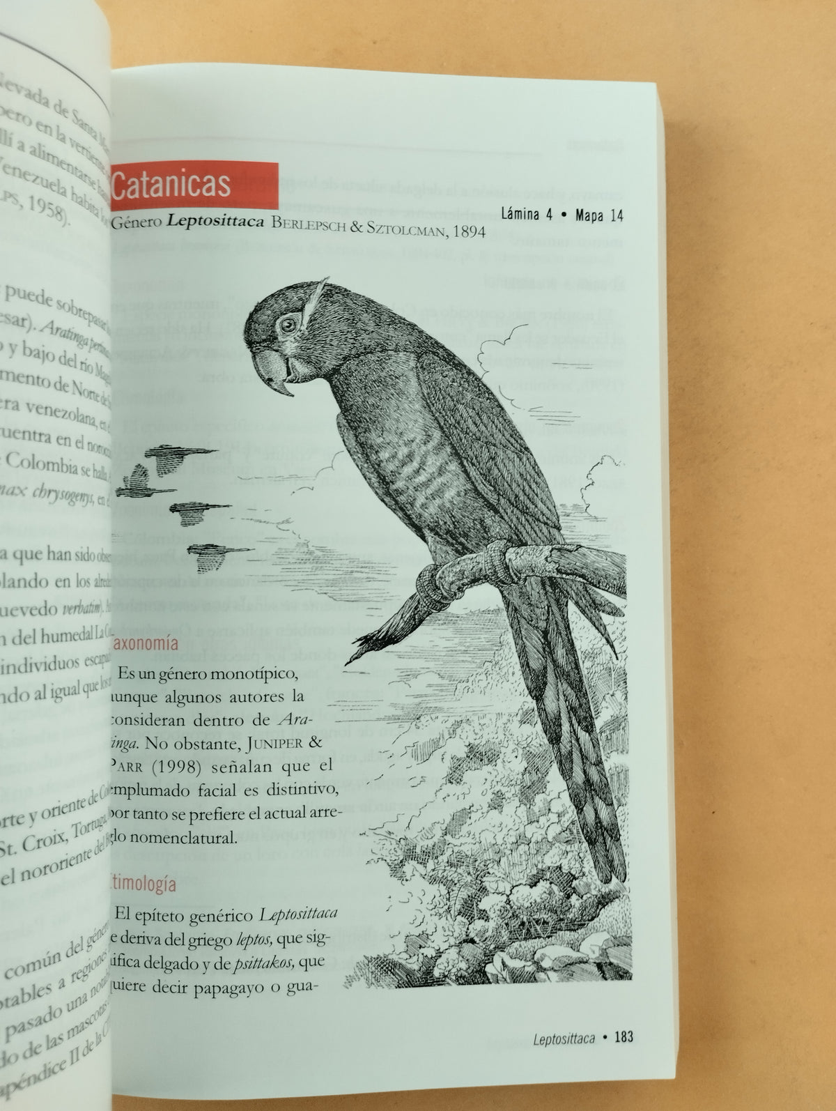 Loros de colombia by varios