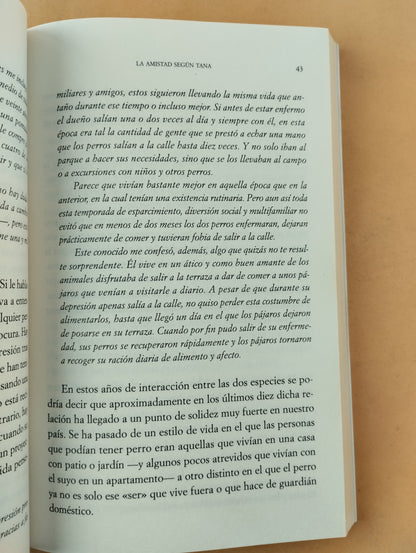 La vida con un perro es más feliz