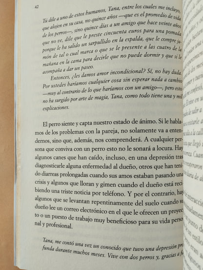 La vida con un perro es más feliz