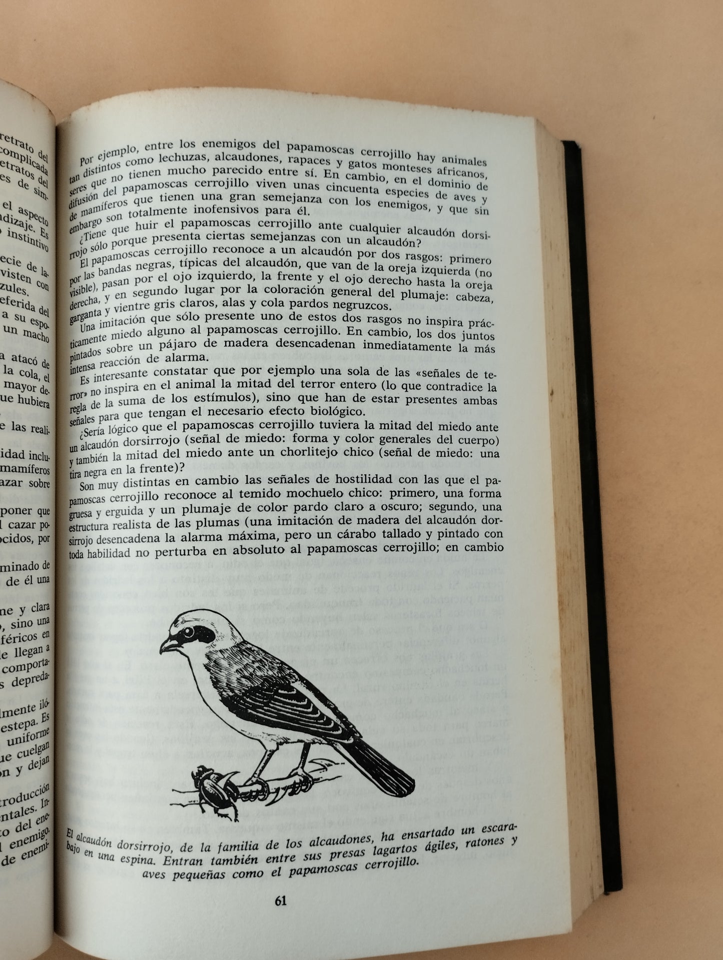 La Vida amorosa de los animales
