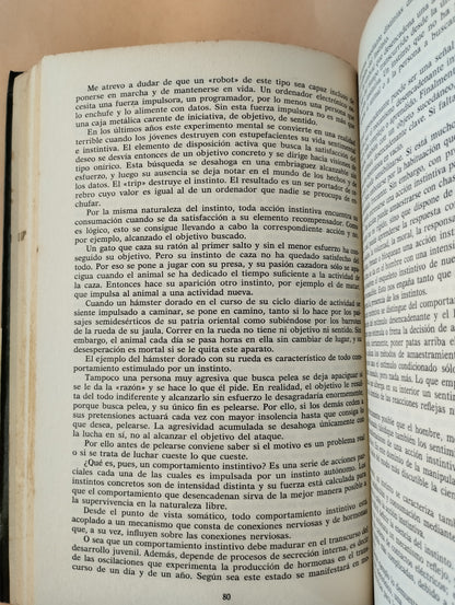 La Vida amorosa de los animales