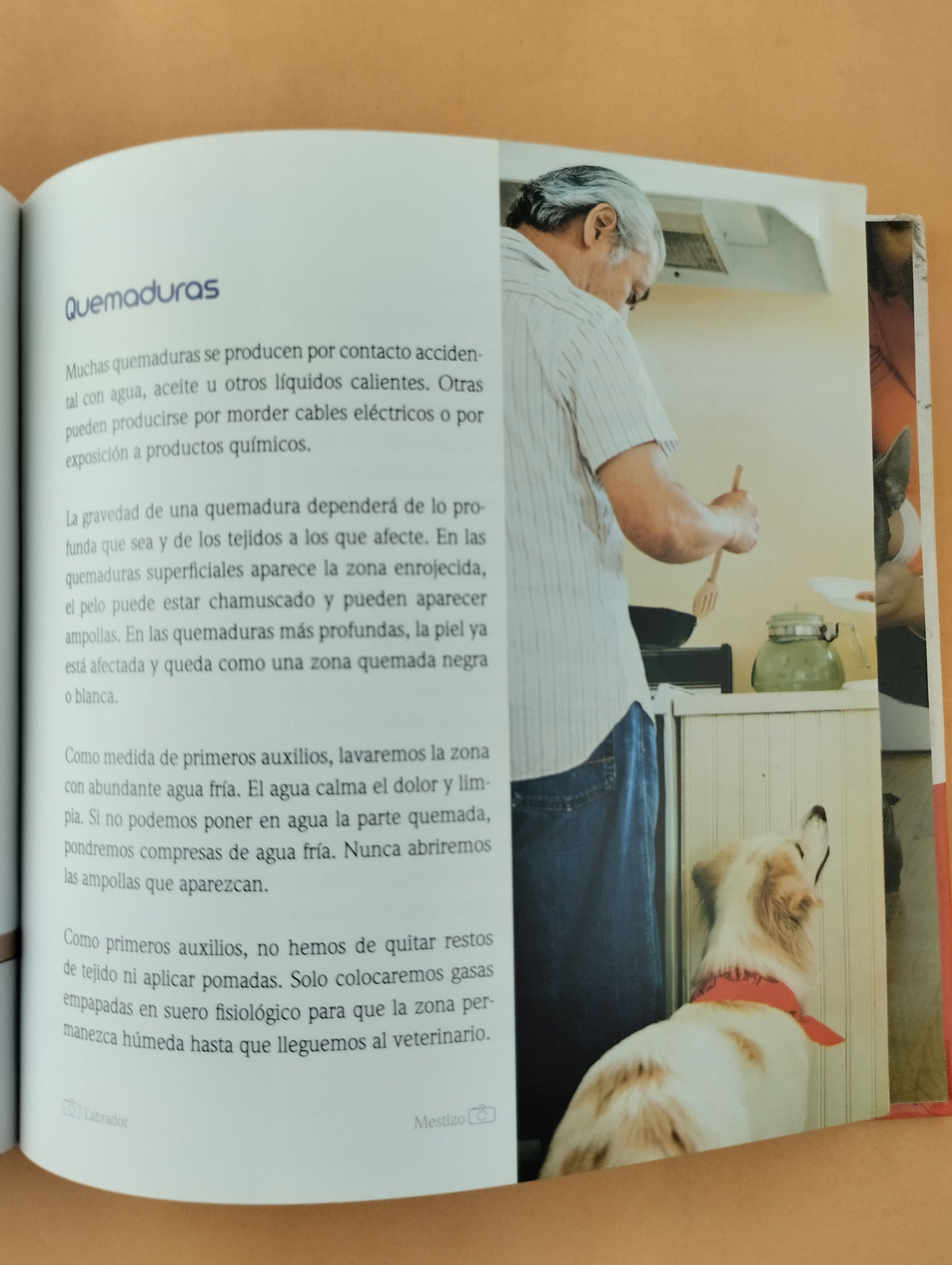El Encantador De Perros 13 Primeros Auxilios by Carlos Rodriguez