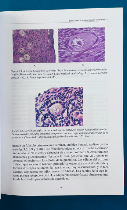 Fundamentos de ginecología y obstetricia