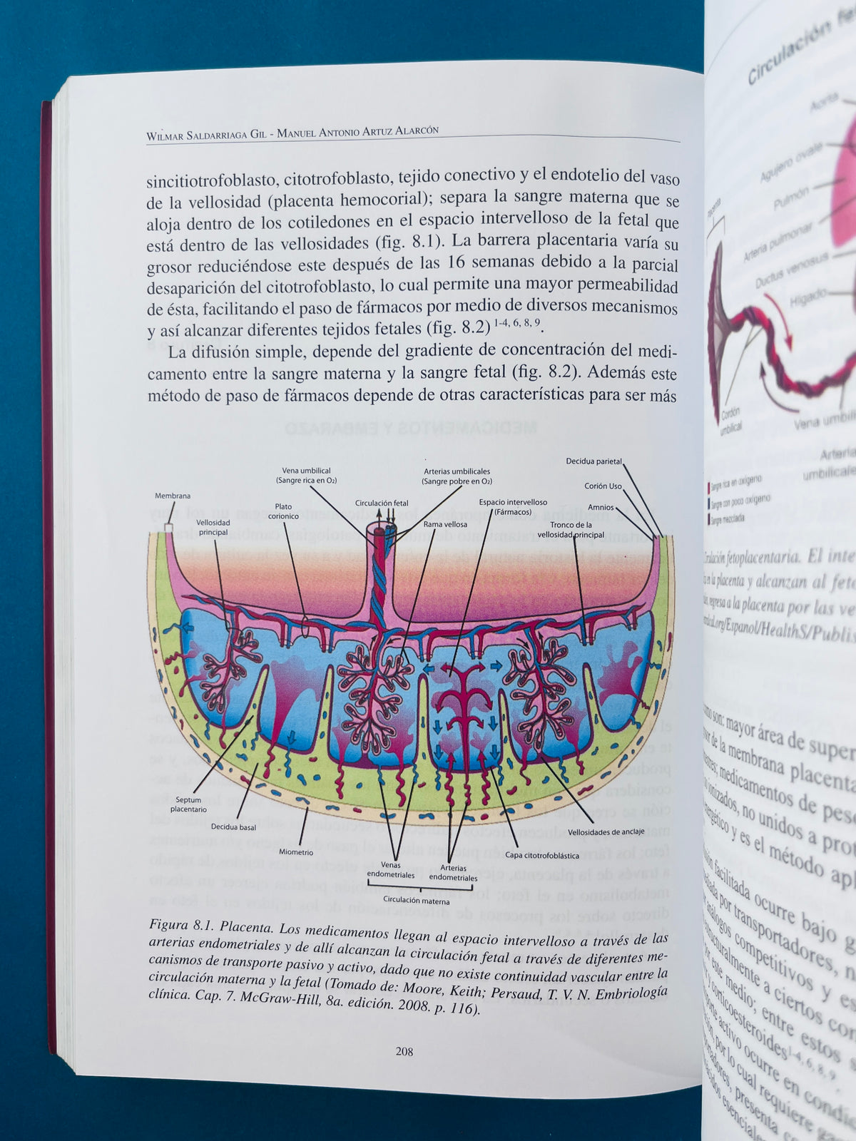 Fundamentos de ginecología y obstetricia by Saldarriaga Artuz