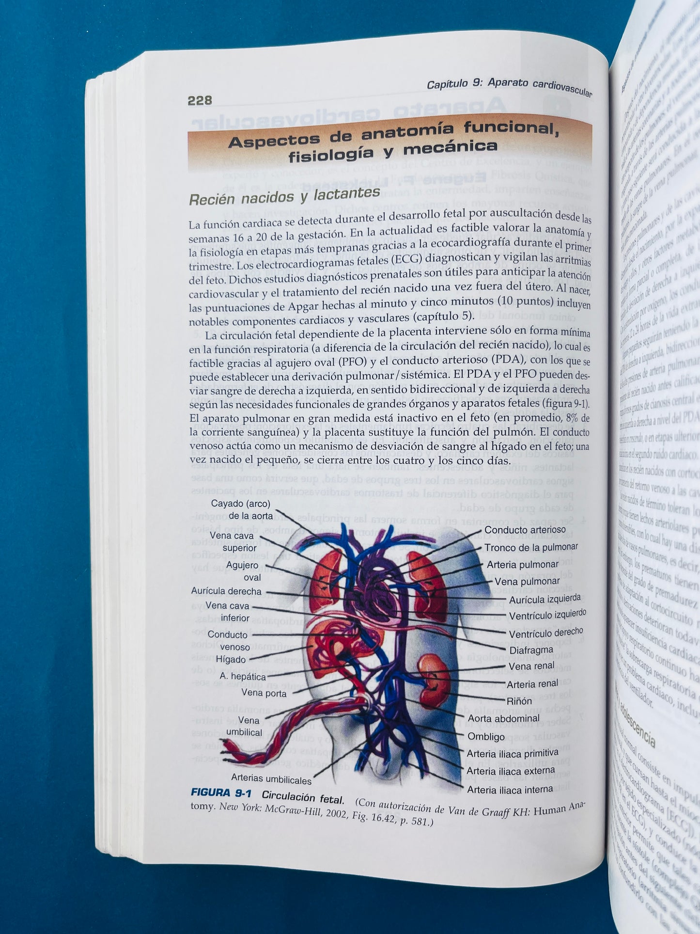 Examinación diagnóstica pediátrica