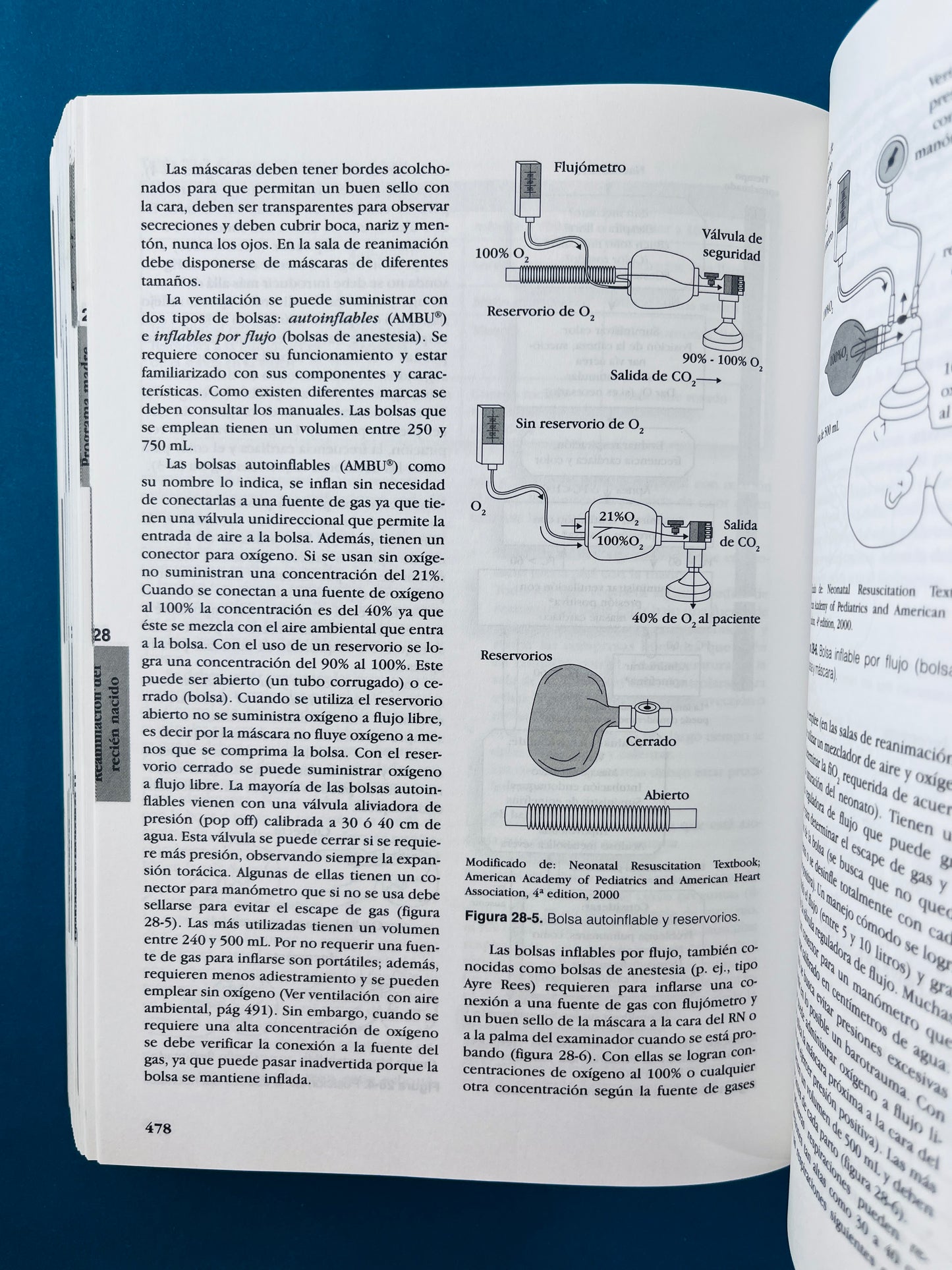 Fundamentos de pediatría tomo 1 generalidades y neonatología tercera edición
