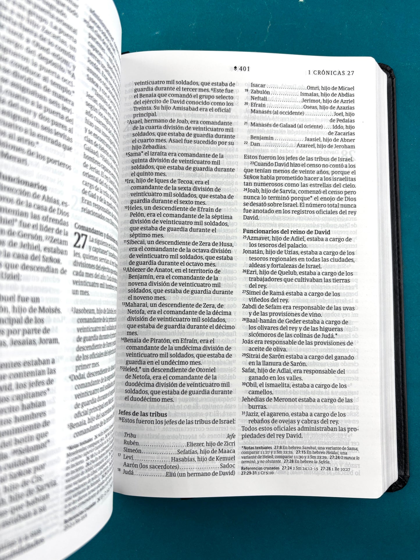 Biblia NTV Filament negro borde plateado