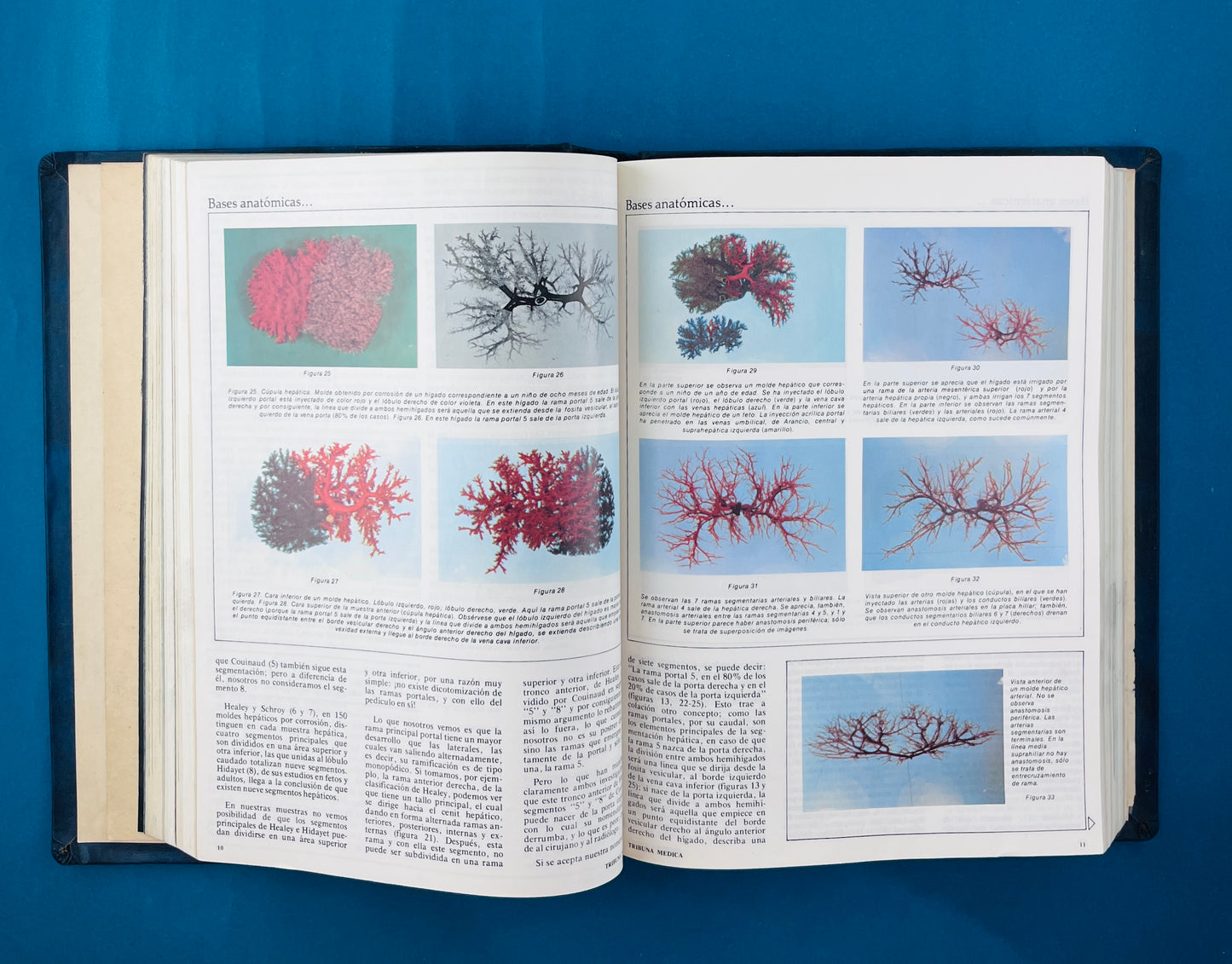 Enfermedades infecciosas Nobrium