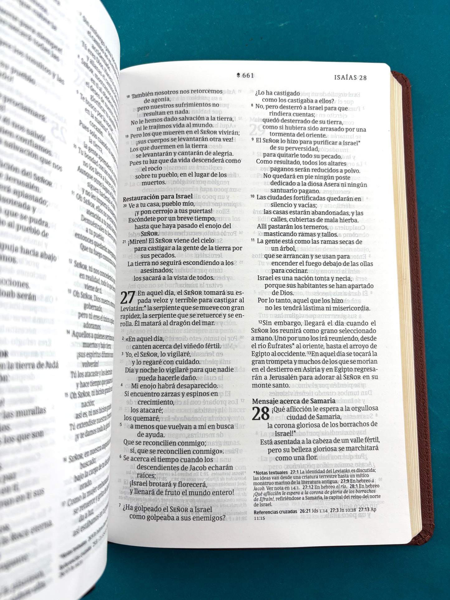 Biblia NTV Filament café canto dorado