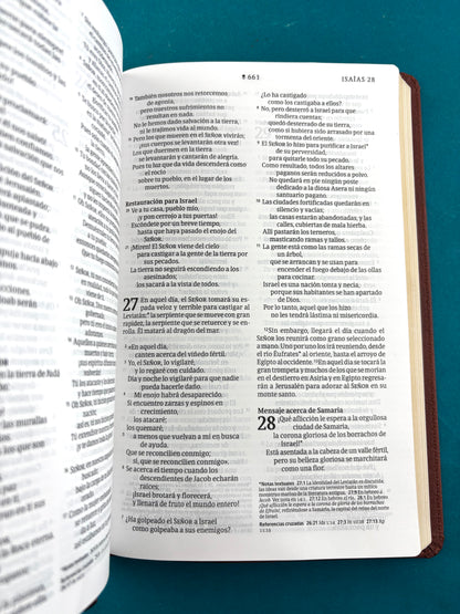 Biblia NTV Filament café canto dorado