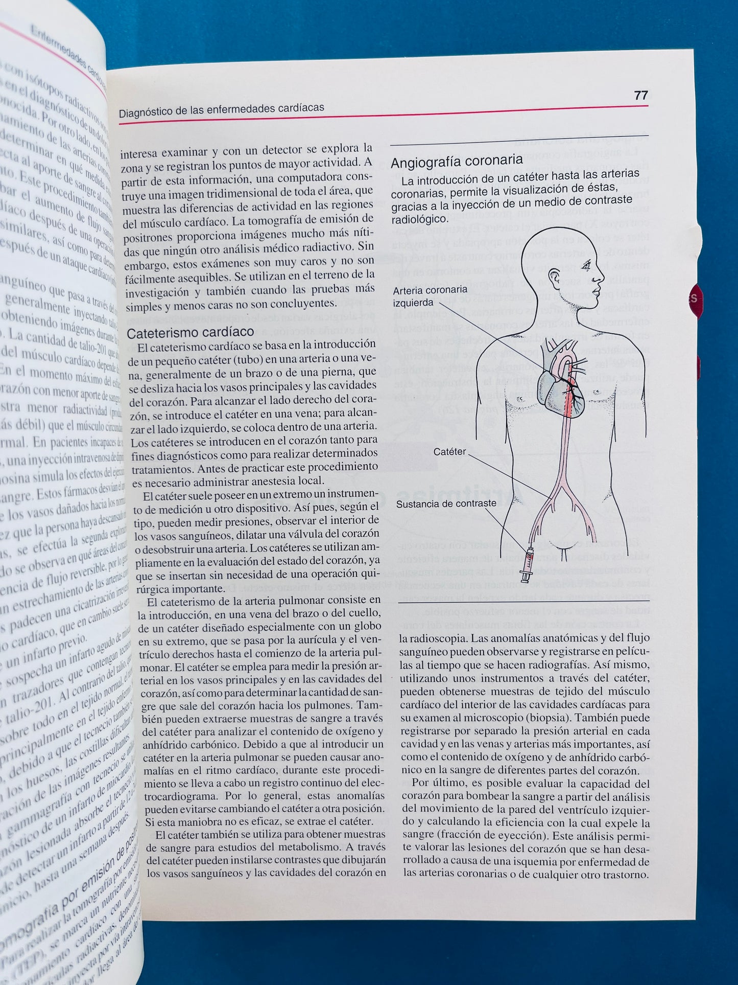 Manual Merck de información médica para el hogar