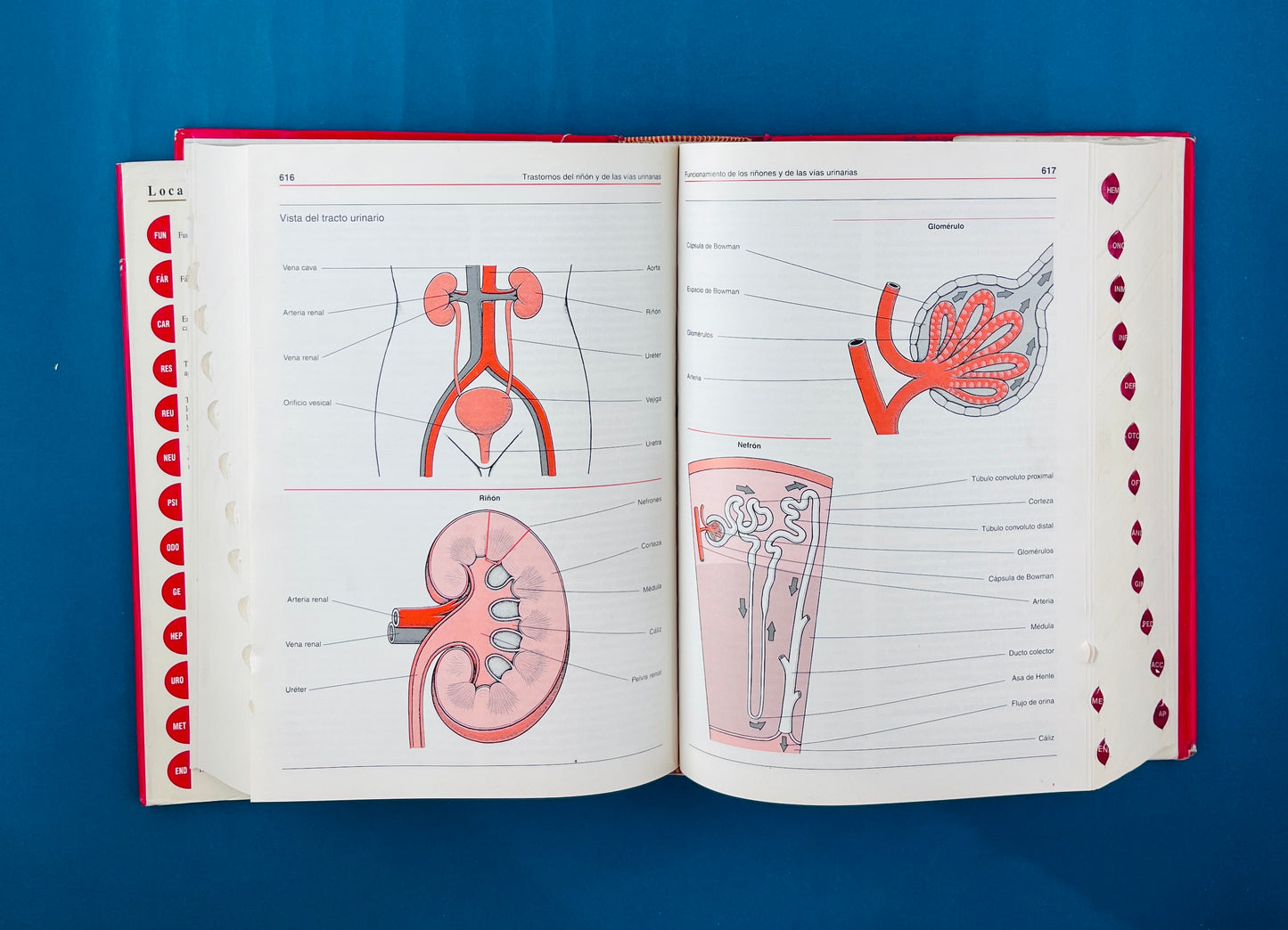 Manual Merck de información médica para el hogar