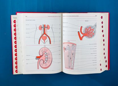 Manual Merck de información médica para el hogar