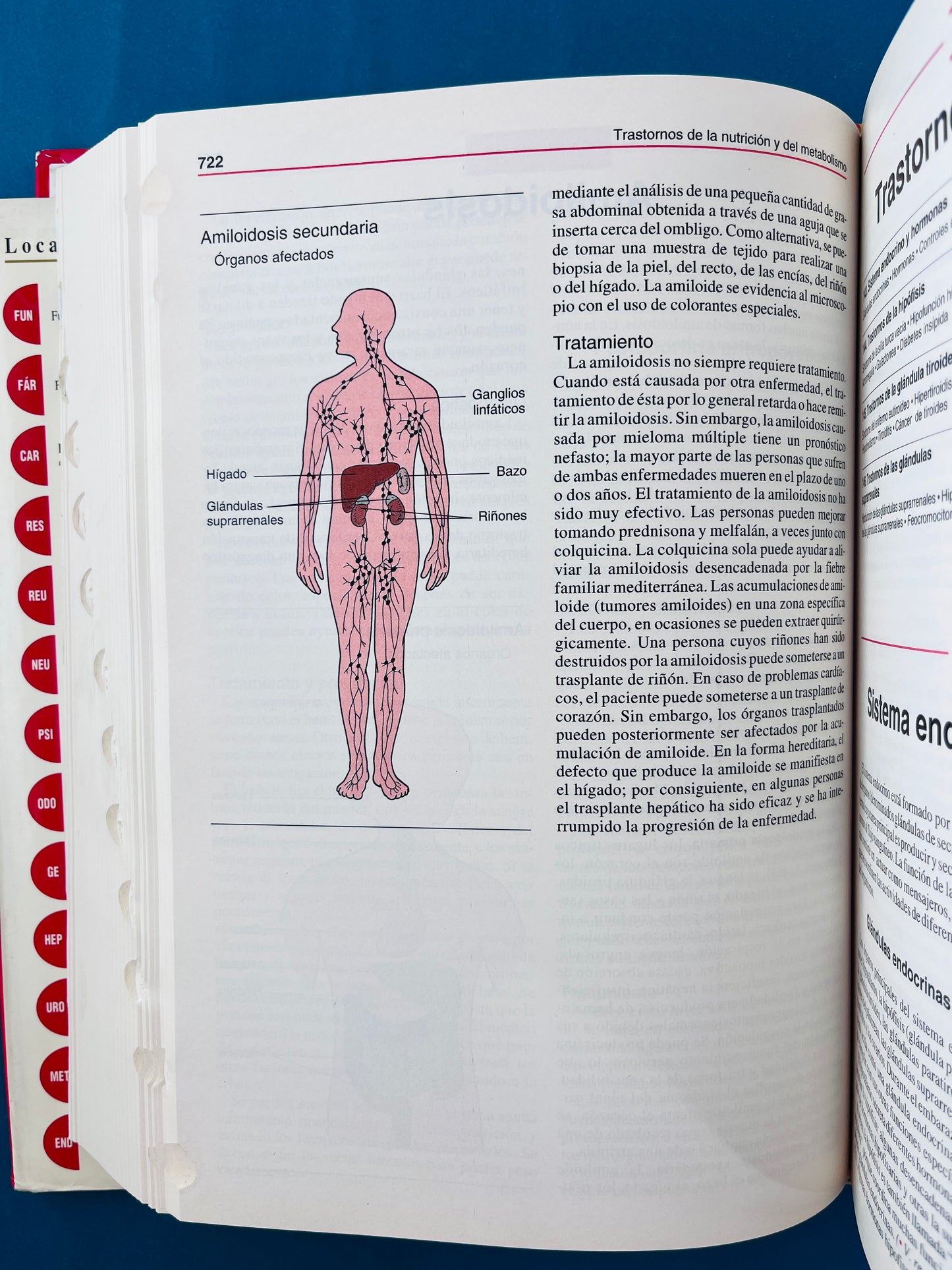 Manual Merck de información médica para el hogar