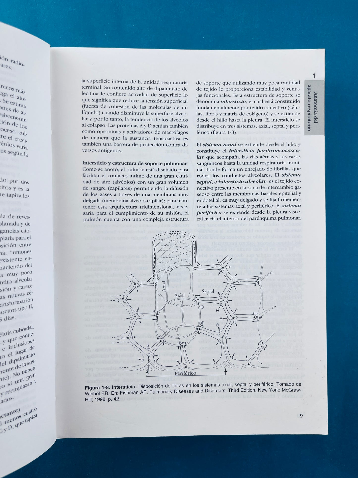 Fundamentos de medicina Neumologia sexta edición