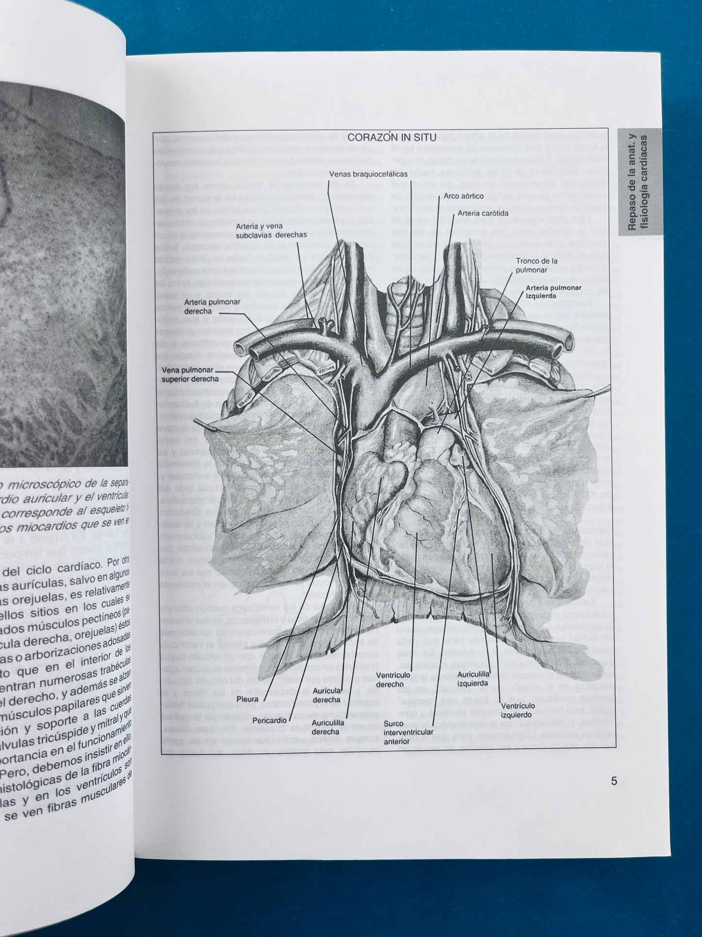 Fundametos de medicina Cardiología sexta edición