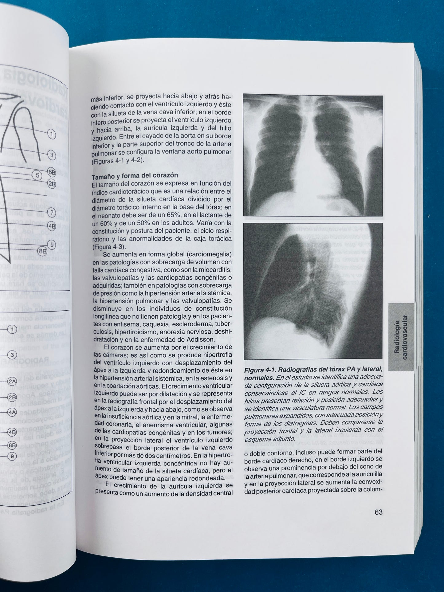 Fundametos de medicina Cardiología sexta edición