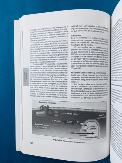 Fundametos de medicina Cardiología sexta edición