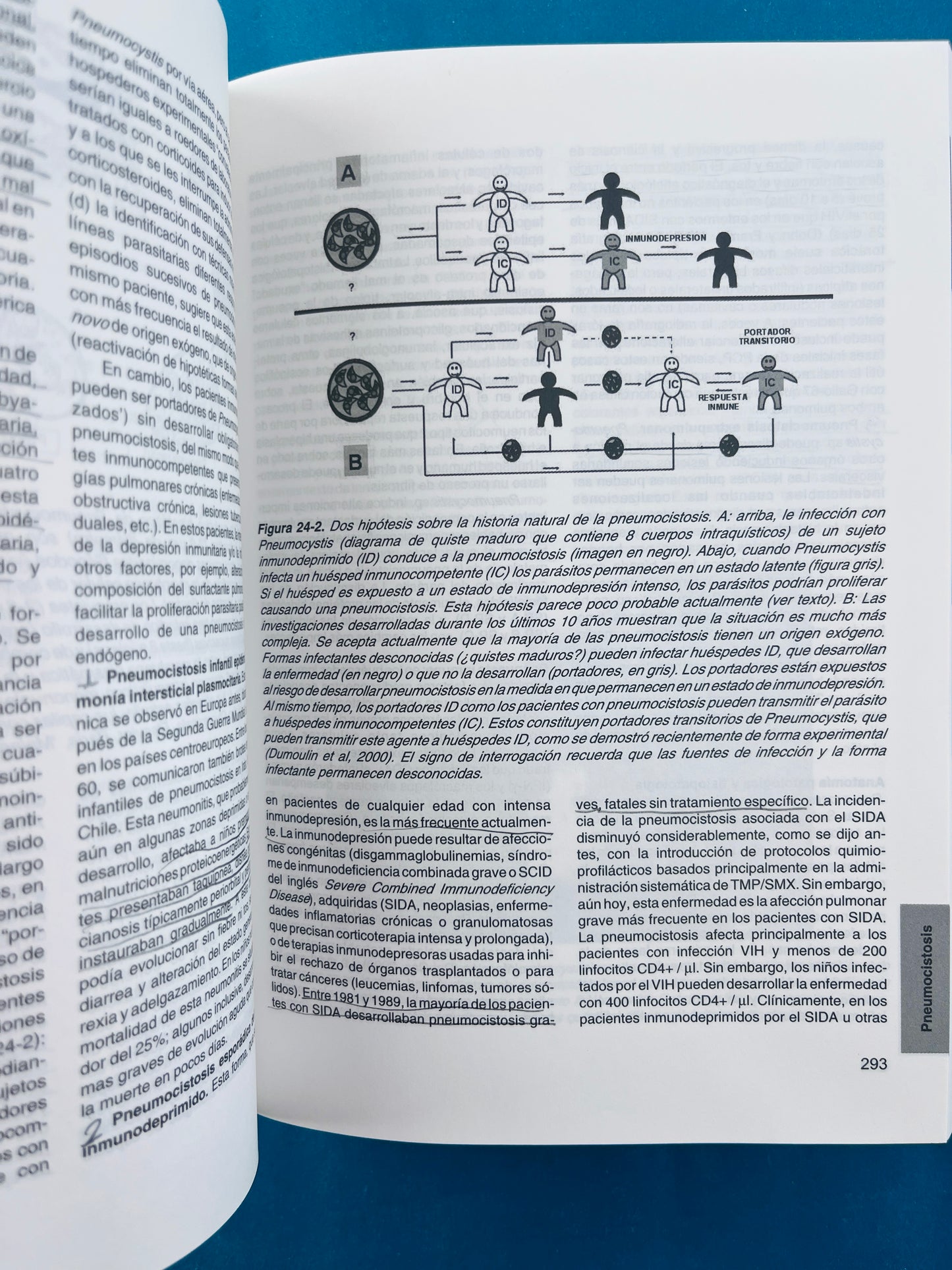 Fundamentos de medicina enfermedades infecciosas sexta edición
