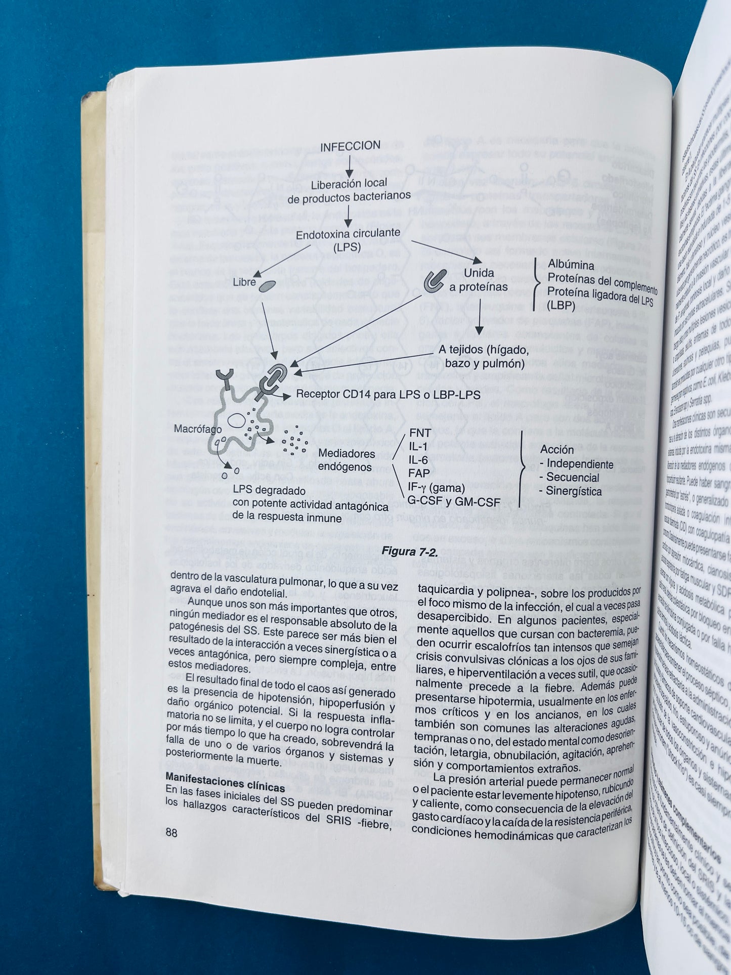 Fundamentos de medicina enfermedades infecciosas quinta edición