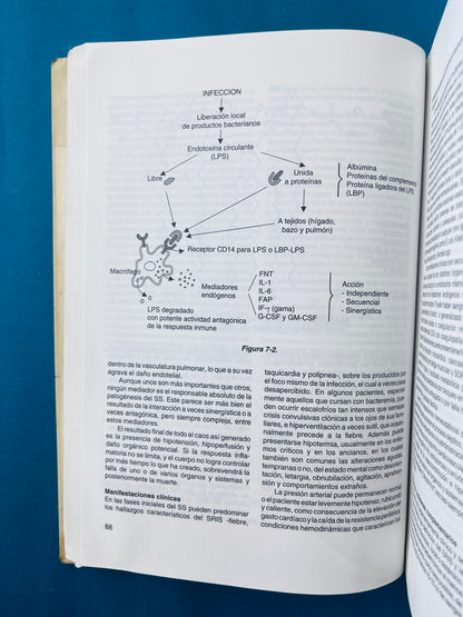 Fundamentos de medicina enfermedades infecciosas quinta edición