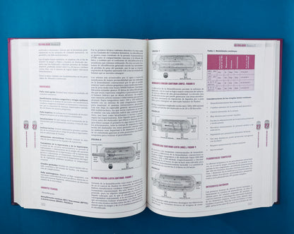 Nefrología básica 2