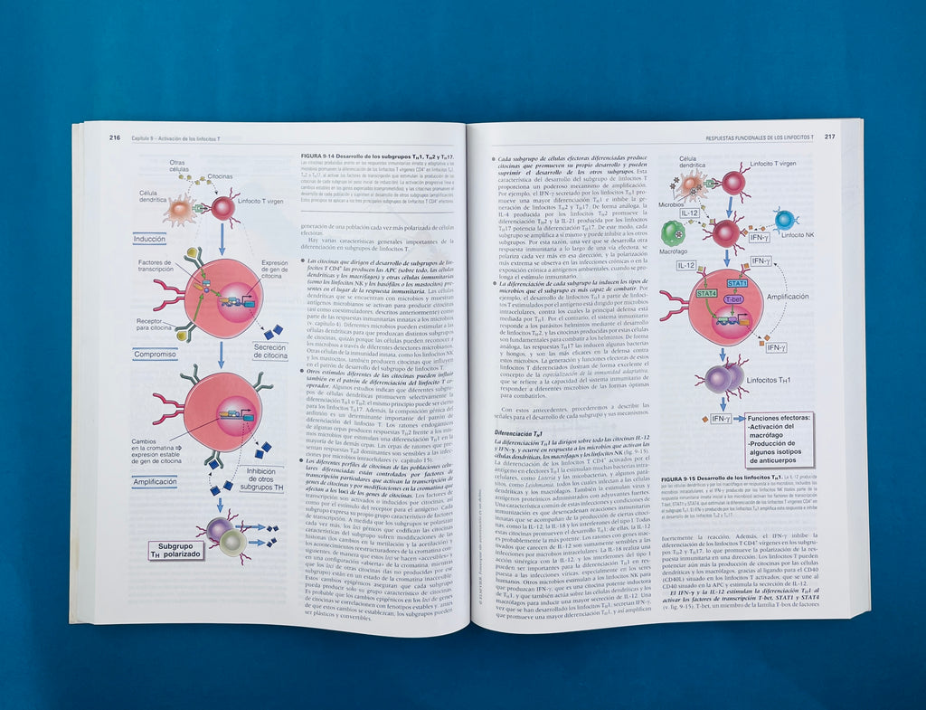 Inmunología celular y molecular séptima edición by Abul K. Abbas Andrew H. Lichtman Shiv Pillai