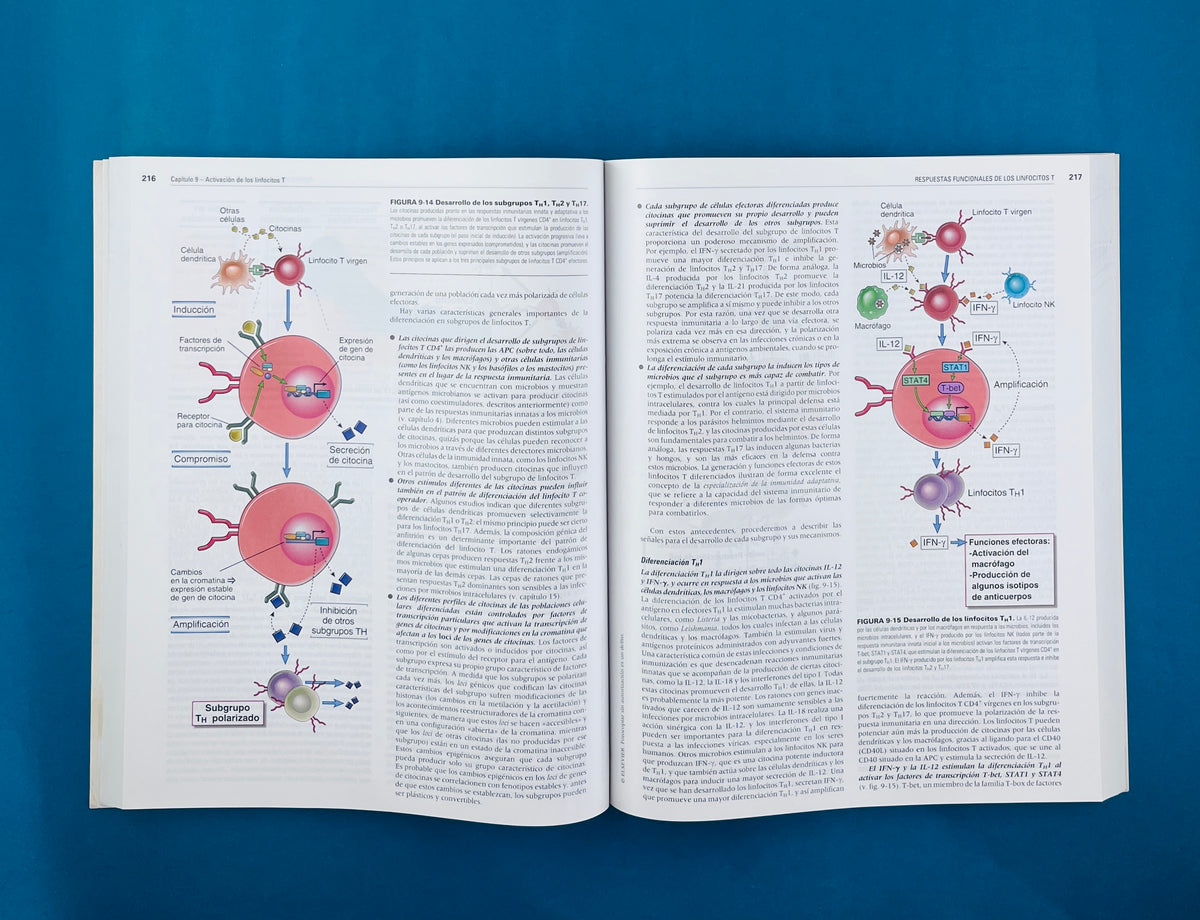 Inmunología celular y molecular séptima edición by Abul K. Abbas Andrew H. Lichtman Shiv Pillai