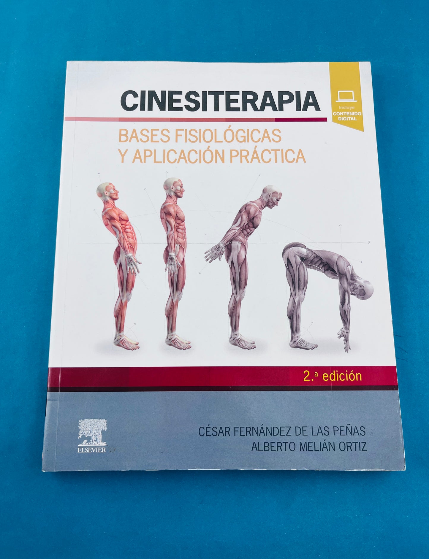 Cinesiterapia bases fisiológicas y aplicación práctica segunda edición