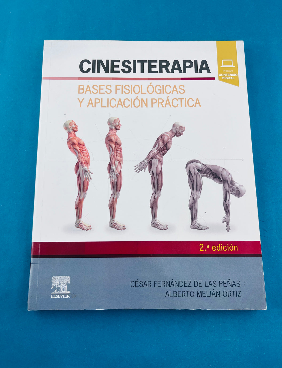 Cinesiterapia bases fisiológicas y aplicación práctica segunda edición by César Fernández de las Peñas Alberto Melián Ortiz