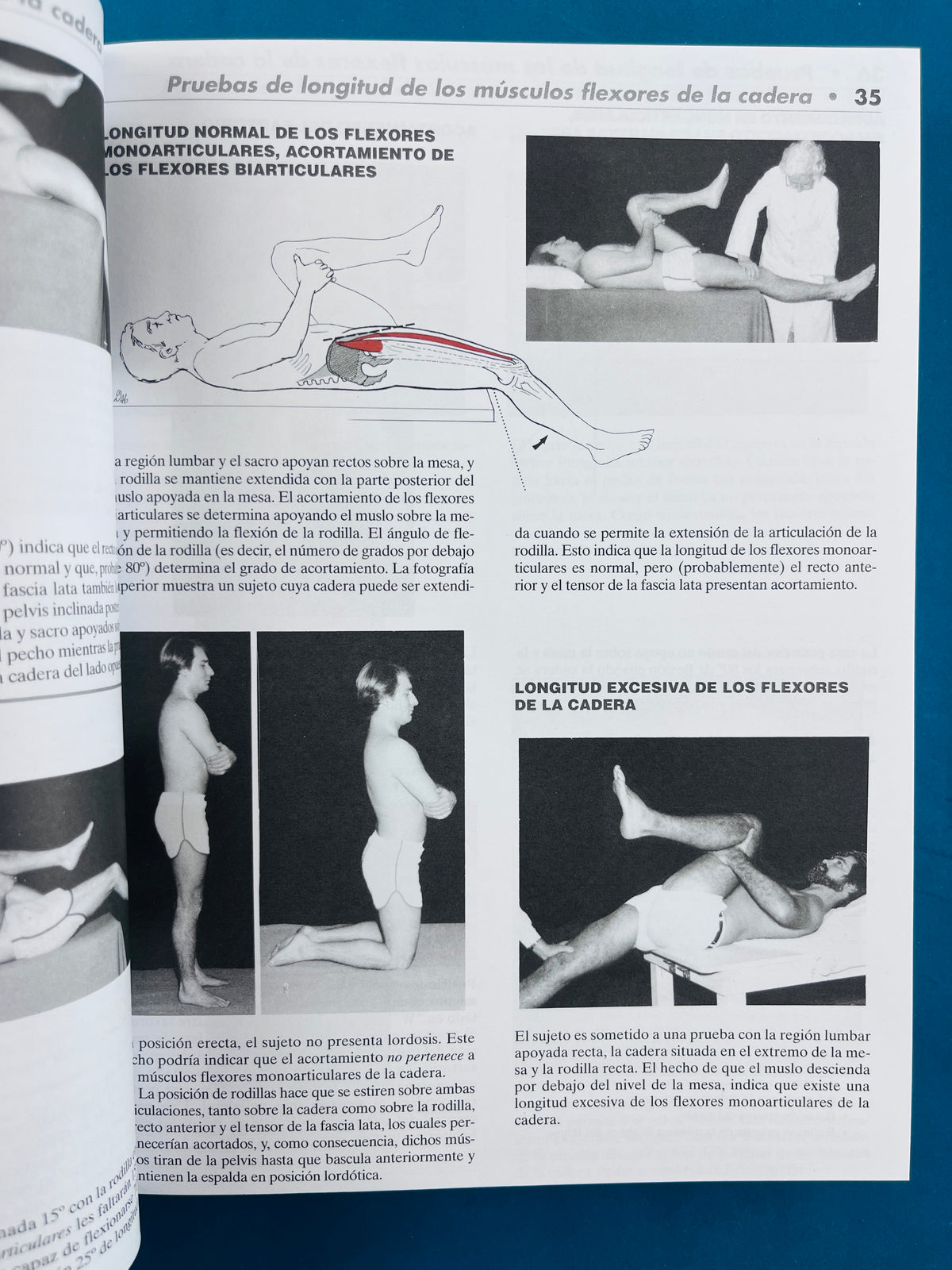 Músculos pruebas, funciones y dolor postural cuarta edición by Kendall's