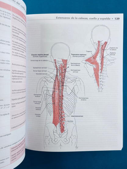 Músculos pruebas, funciones y dolor postural cuarta edición