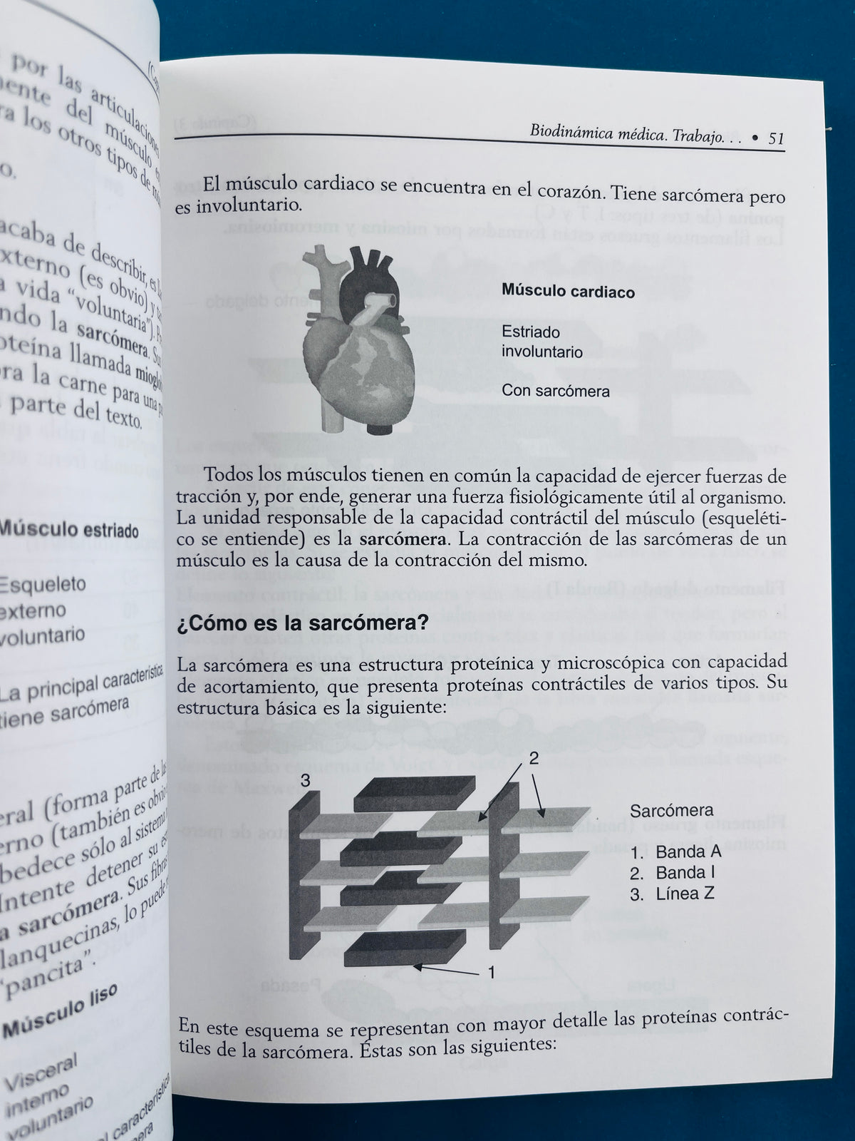 Biofísica by Luis Yushimito Rubiños
