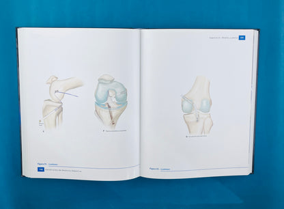 Condiciones de medicina deportiva reconocimiento, tratamiento planificación