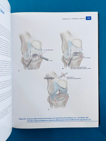 Condiciones de medicina deportiva reconocimiento, tratamiento planificación