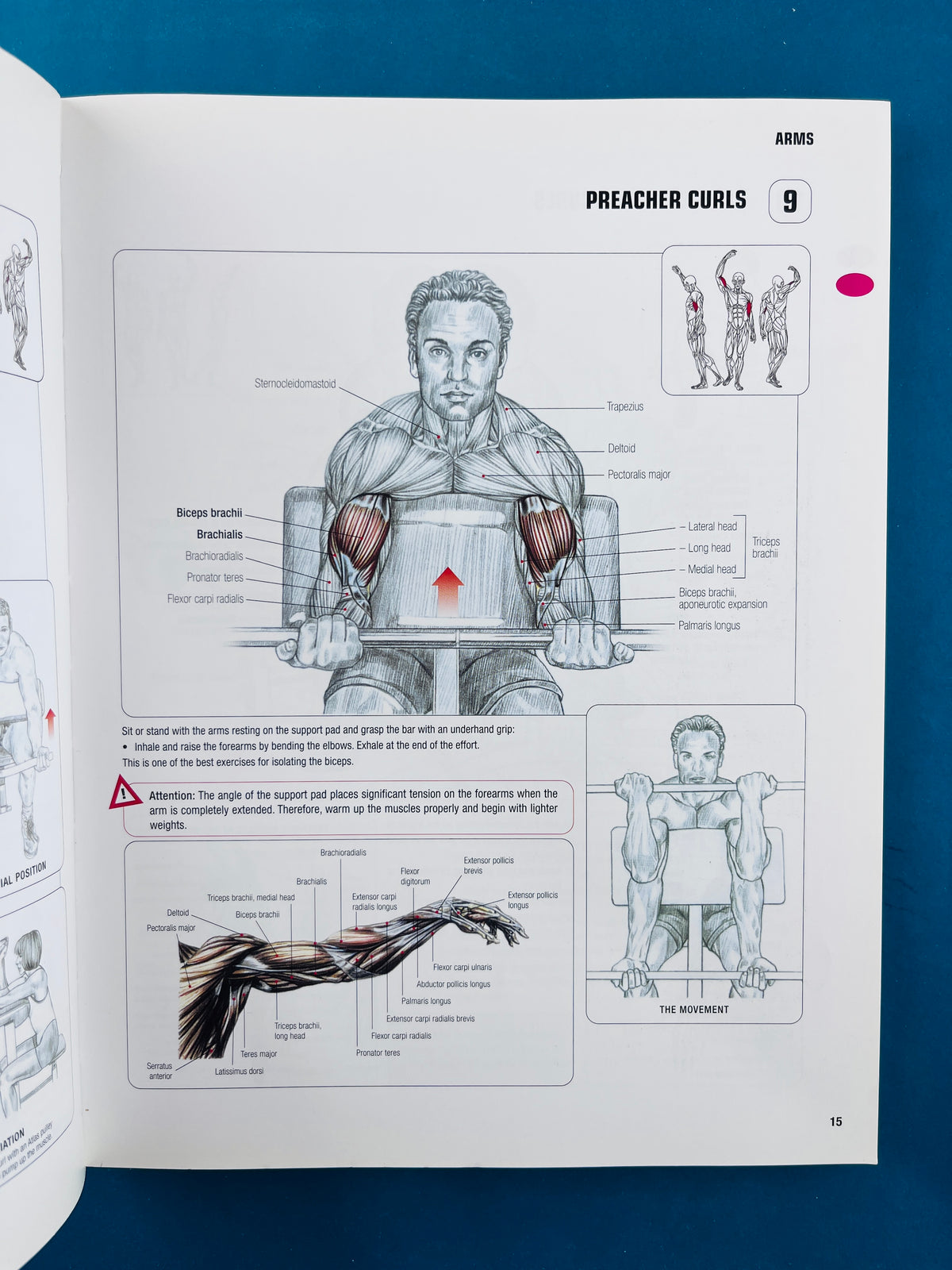 Strength training anatomy third edition by Frédéric Delavier