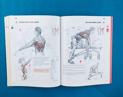 Strength training anatomy third edition