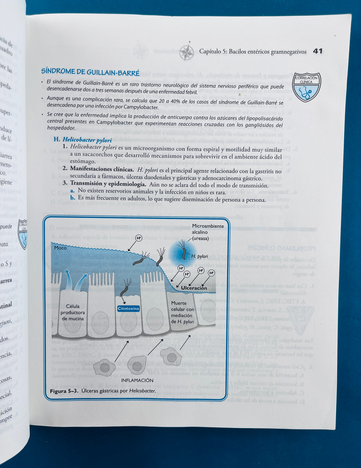 Usmle road map microbiologpia y enfermedades infecciosas by Timothy J Bos Kenneth D Somers