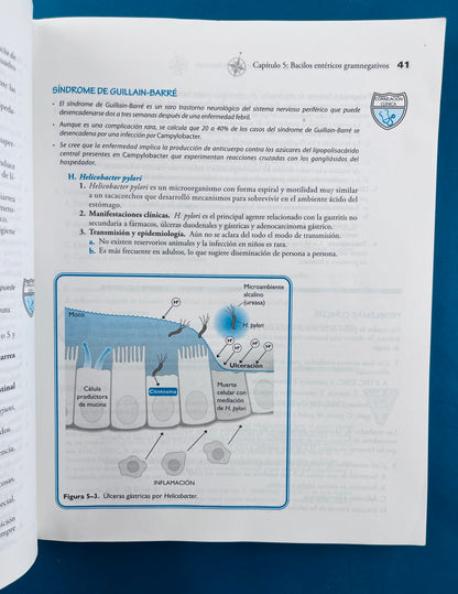 Usmle road map microbiologpia y enfermedades infecciosas
