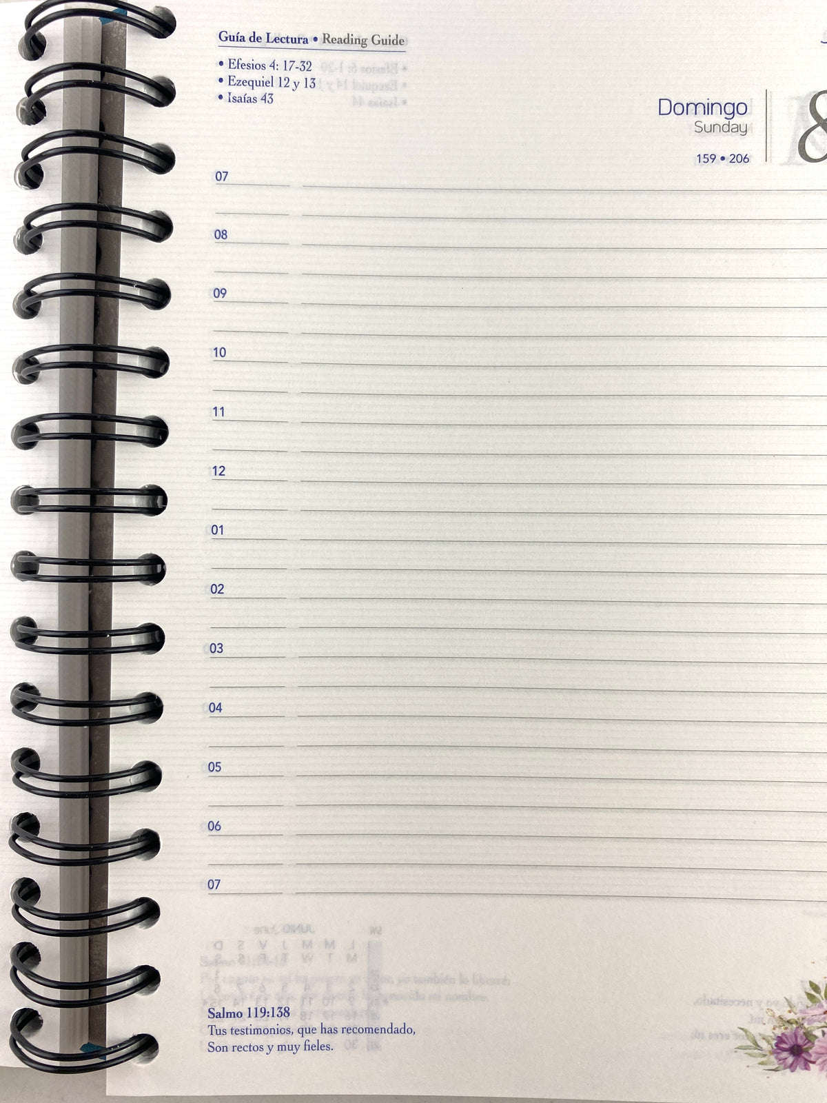 Agenda diario de promesas 2025 azul aguamarina by Varios