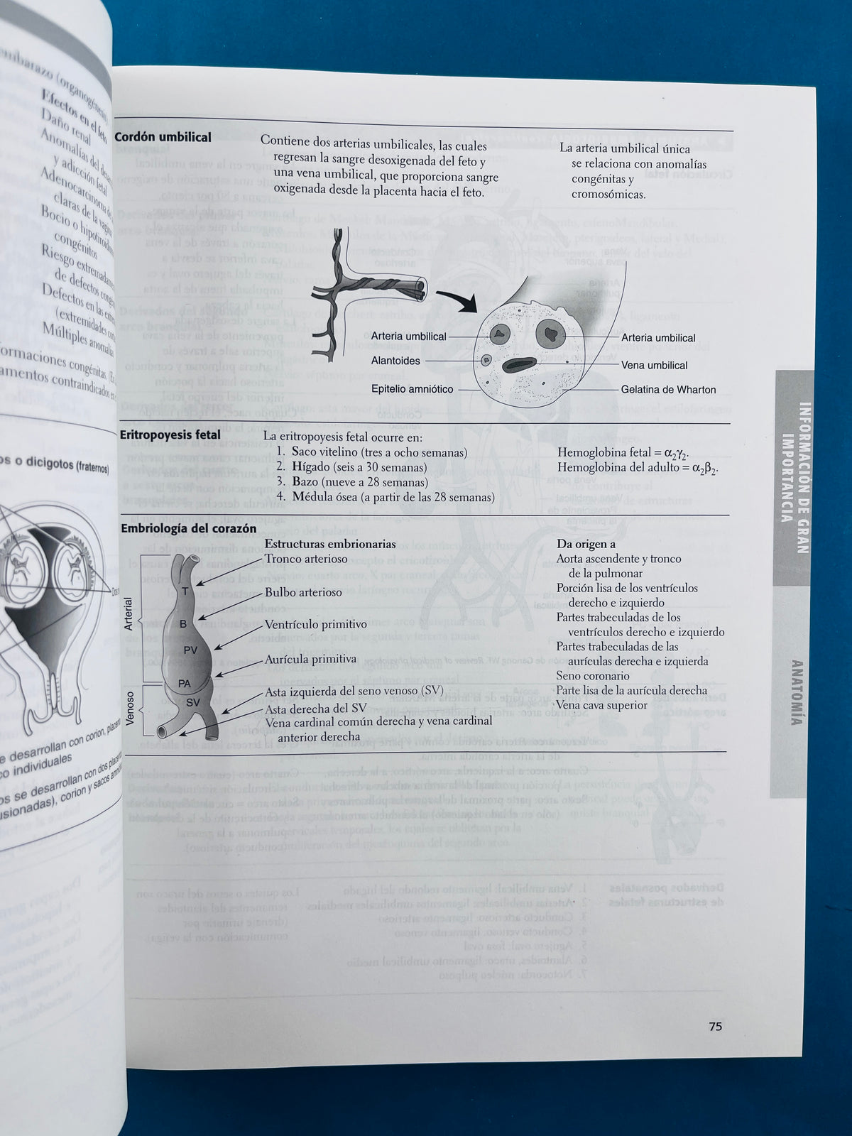 First aid para usmle paso 1guía e estudiantes para estudiantes by Vikas Bhushan Tao Le