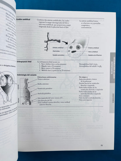 First aid para usmle paso 1guía e estudiantes para estudiantes
