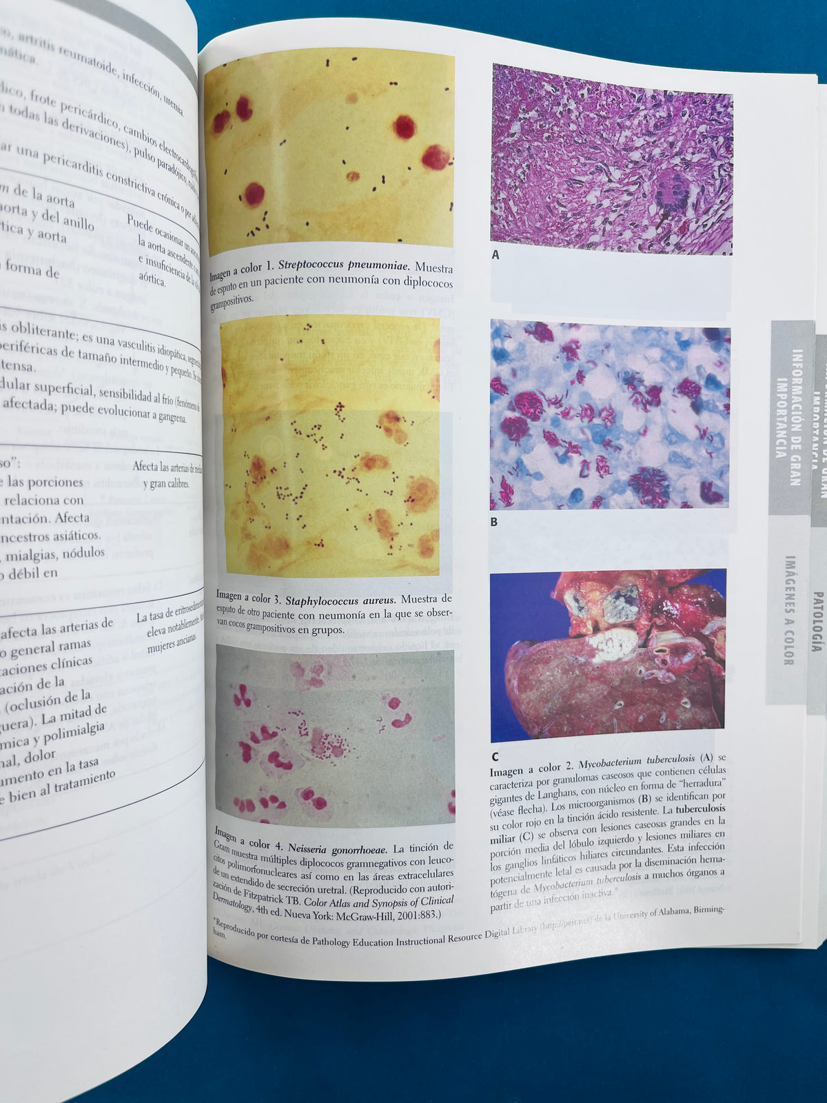 First aid para usmle paso 1guía e estudiantes para estudiantes by Vikas Bhushan Tao Le