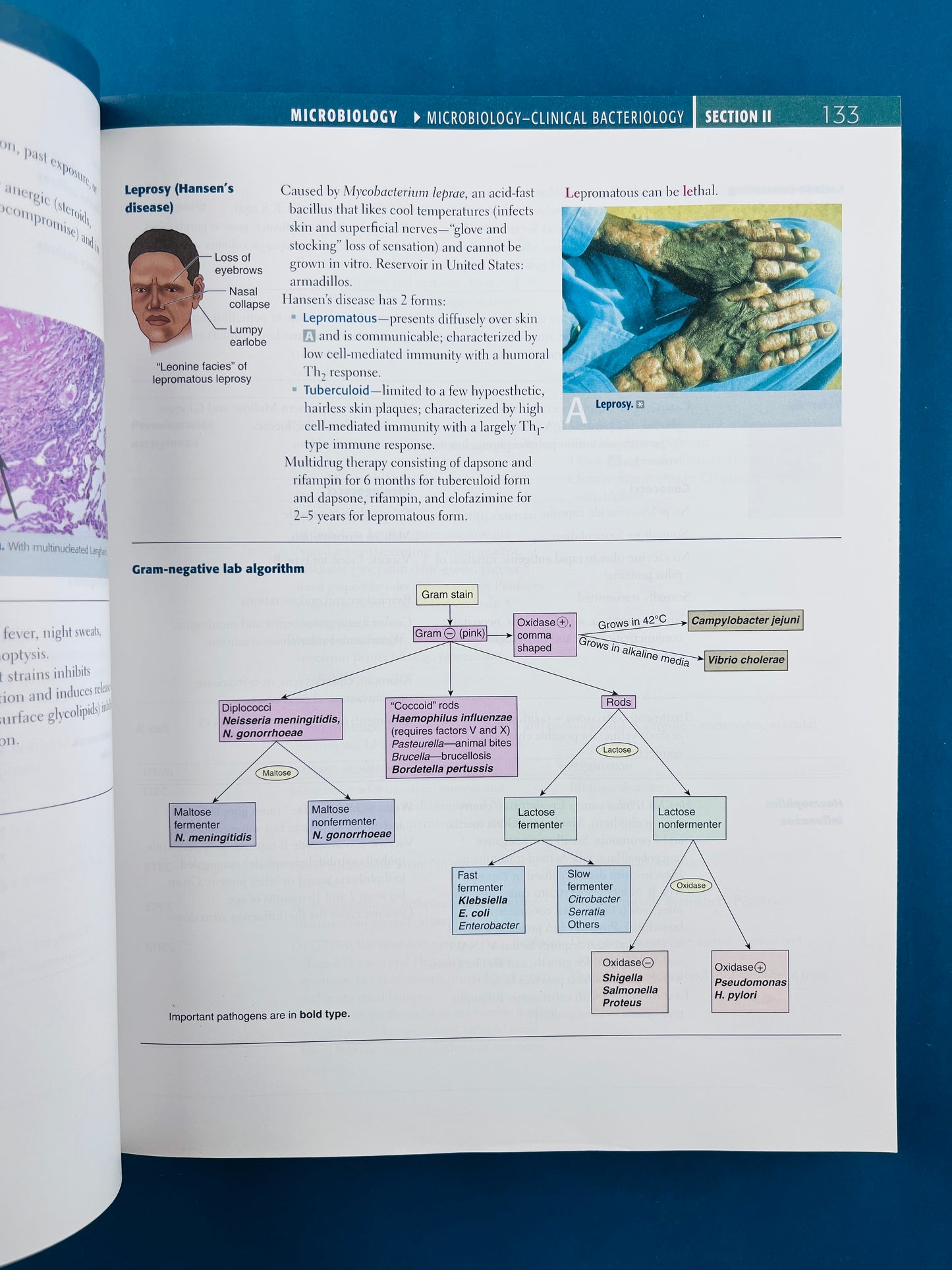 First aid for the usmle step 1 2013
