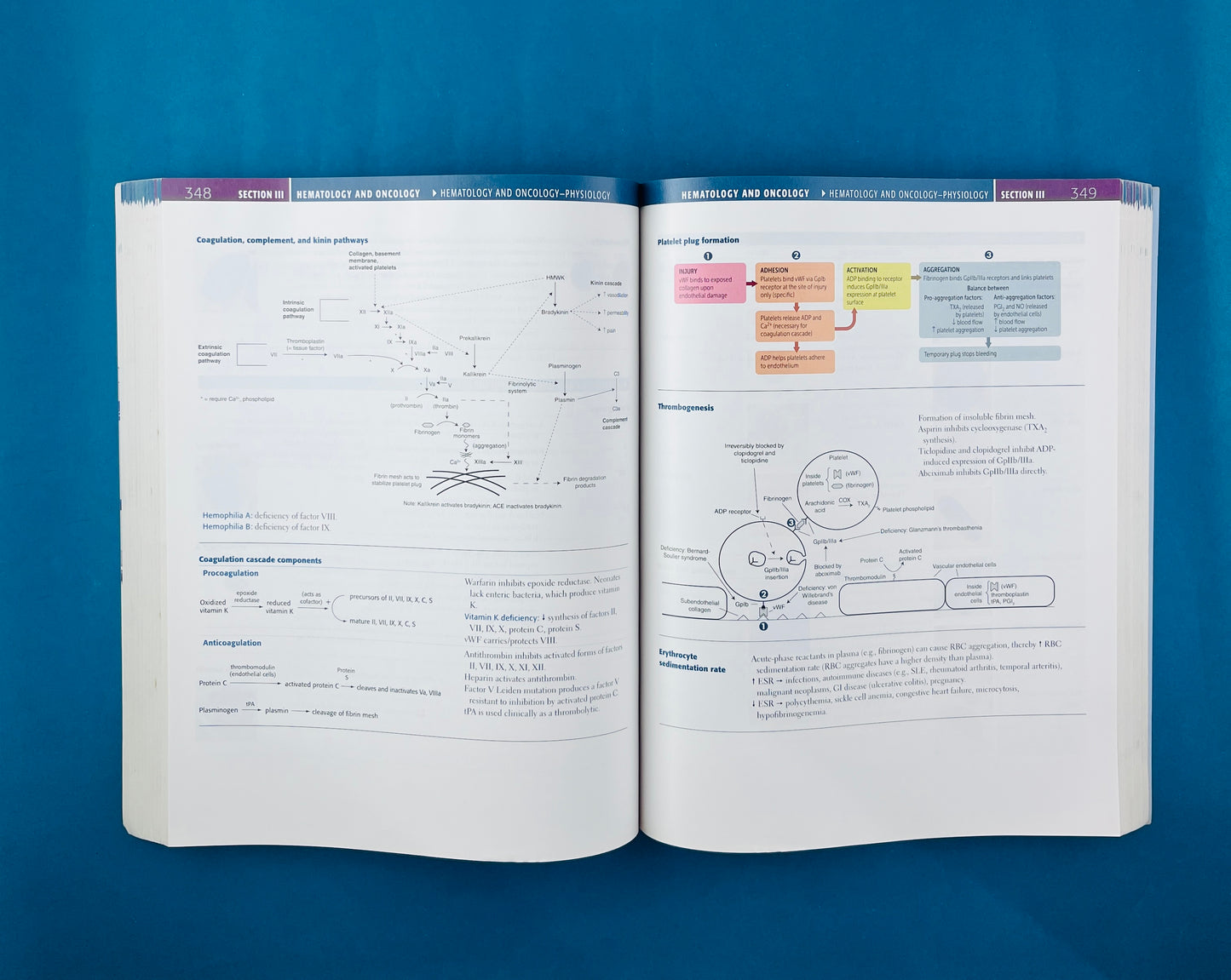 First aid for the usmle step 1 2013