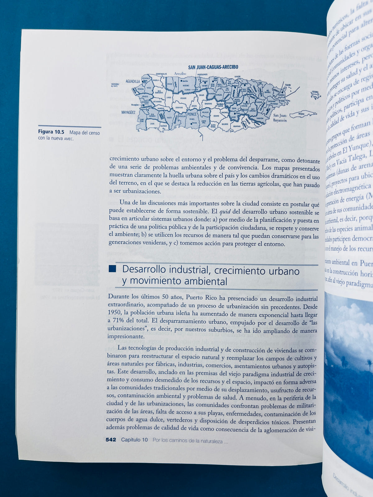 Ciencias sociales sociedad y cultura contemporánea cuarta edición by Dra Lina M. Torres Rivera
