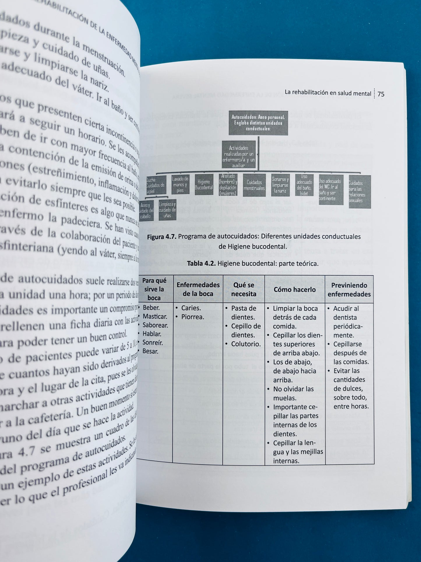 Enfermería en la rehabilitación de la enfermedad mental severa cuidados, atención y aspectos jurídicos